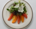 Spring Mix Salad